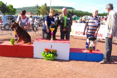 Du Jardin D'amour - SEMUR en AUXOIS Mon 1er meilleur de race