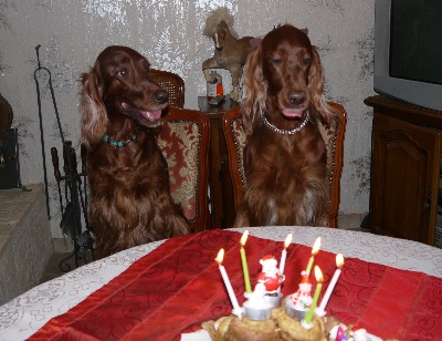 Du Jardin D'amour - CENDWEN ET CAMTESS fête leur 6ème anniversaire