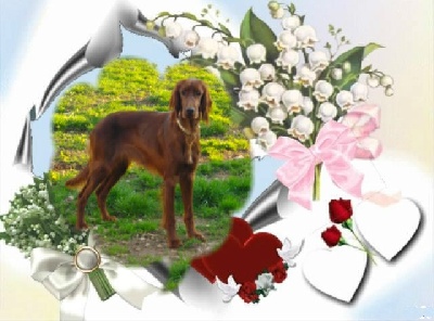 Du Jardin D'amour - Premier anniversaire