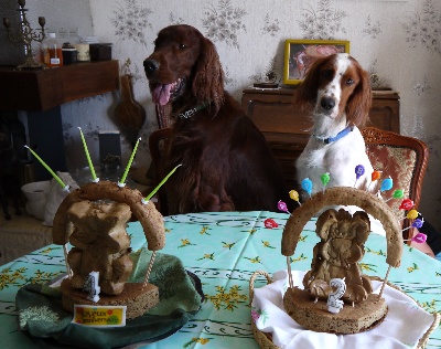 Du Jardin D'amour - Deux anniversaires ce week end