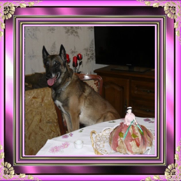Du Jardin D'amour - 7 ème Anniversaire de DIVA DES ILES FIDJI