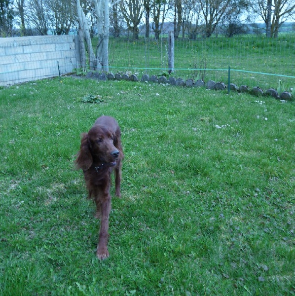 Even et son pére Scan de Medavy