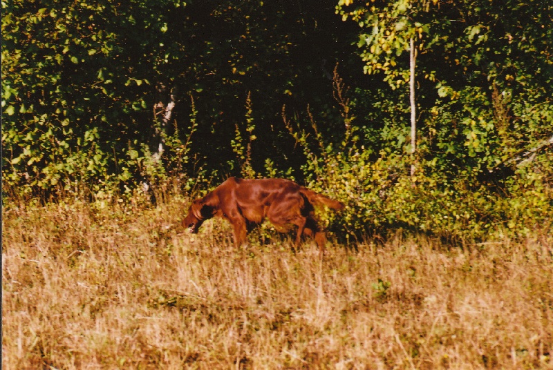 Journée de chasse